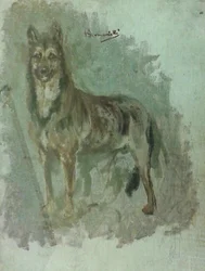 Studie eines Tieres [Hund]